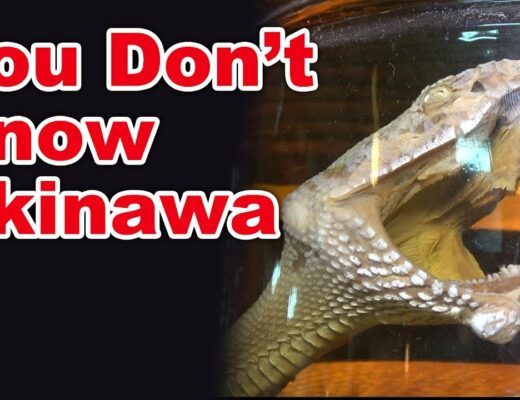 What is Awamori? | English Sub | Okinawan best souvenir | Awamori